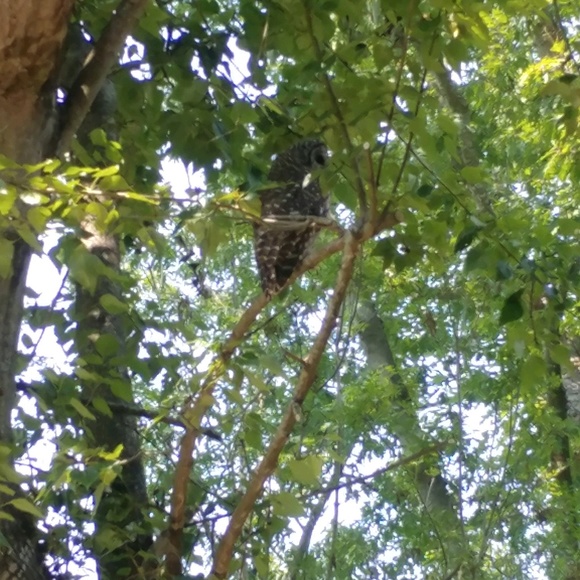 Profile Picture of Emanuel Margarito (@emanuel_14) on Poshmark