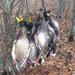 Profile Picture of Tim Case (@case.tim) on Instagram