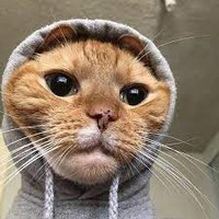 Profile Picture of Nicholas Mcintyre  (@nicholas-mcintyre-6) on Quora