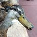 Profile Picture of Evan Goad (@egoad1046) on Pinterest