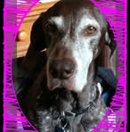 Profile Picture of Jeri Tolbert (@jeri.tolbert) on Facebook