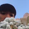 Profile Picture of Isaiah Kim (@@isaynothanks) on Tiktok