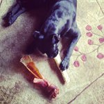 Profile Picture of Jacquelyn Reeves (@rocketreelatest) on Instagram