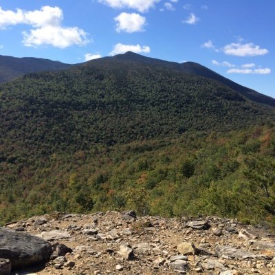 Profile Picture of John (@JohnPea23563850) on Twitter