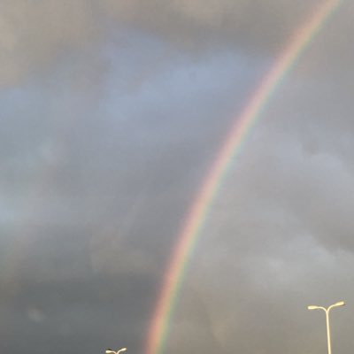 Profile Picture of Mike Maruyama (@MikeMaruyama) on Twitter