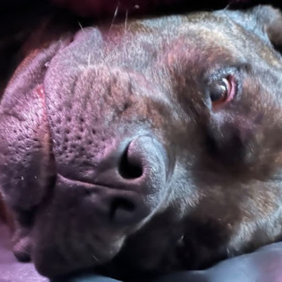 Profile Picture of Adrian Musson (@adrianmusson3) on Poshmark