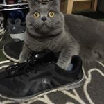 Profile Picture of jason meixner (@bgmixx88) on Instagram