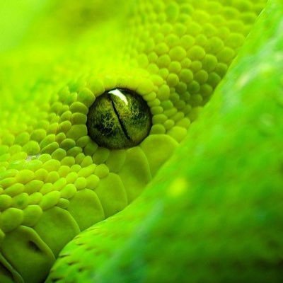 Profile Picture of Adam Stryker (@adamstryker4288) on Twitter