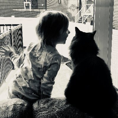 Profile Picture of SeanReimer (@SeanReimer) on Twitter