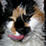 Profile Picture of Jesse Jordan (@skinnydoodlebug) on Flickr