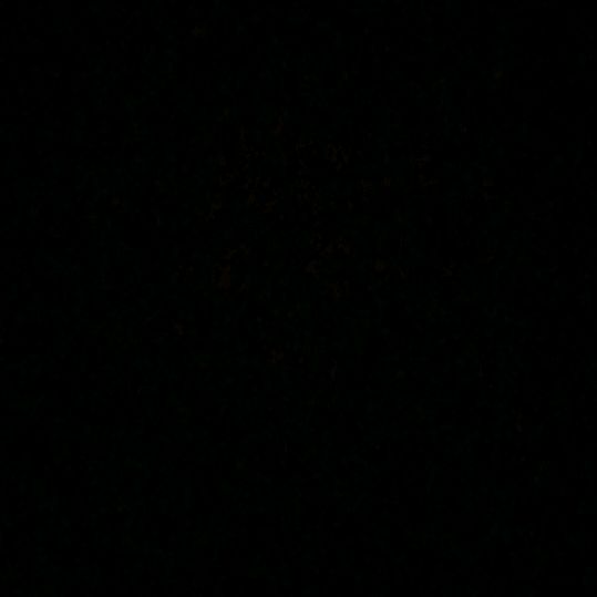 Profile Picture of టిక్ టాక్ జంట్టాలు (@larrydriver) on Tiktok
