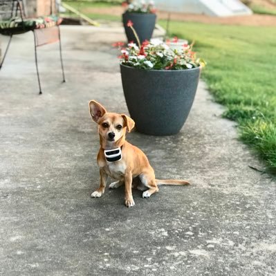 Profile Picture of JayBabay ♍️ (@CoxJaycee) on Twitter