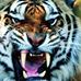 Profile Picture of Alberto Danilo (@alberto.danilo.39) on Facebook