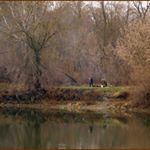 Profile Picture of jaelyn tate (@jaelyntate1901) on Instagram