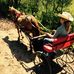 Profile Picture of Jeanne Kern (@jeanne.kern.501) on Facebook
