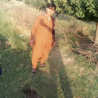 Profile Picture of Shuker Ullah Paktin (@Shuker-Ullah-Paktin) on Facebook