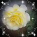 Profile Picture of Maryline Colter (@maryline.colter.96) on Facebook