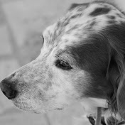 Profile Picture of Jean-paul Pesce (@jean-paulpesce2371) on Youtube