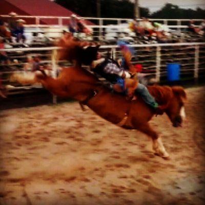 Profile Picture of Josh McKee (@joshmckee918) on Twitter