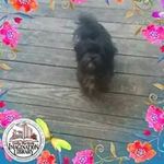 Profile Picture of Delores Matthews (@delores.matthews.376) on Instagram