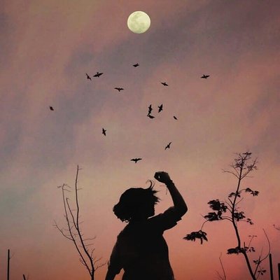 Profile Picture of Alaa Diab (@alaadiab03) on Twitter