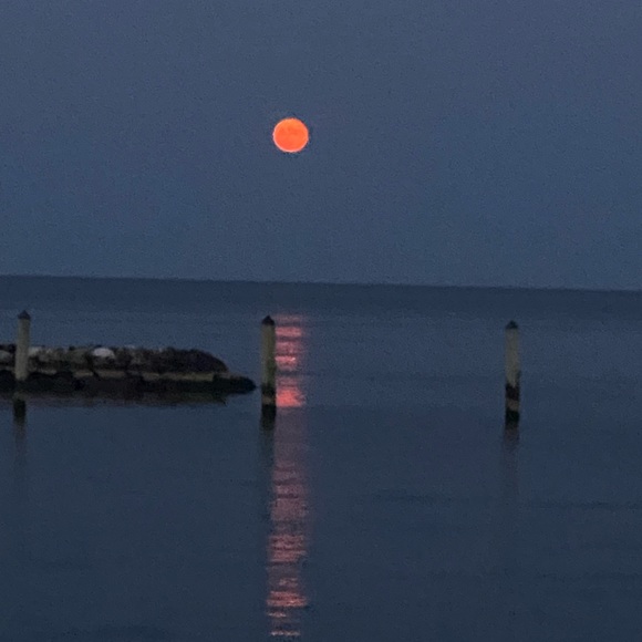 Profile Picture of Nour alhuda Al (@noor68438) on Poshmark