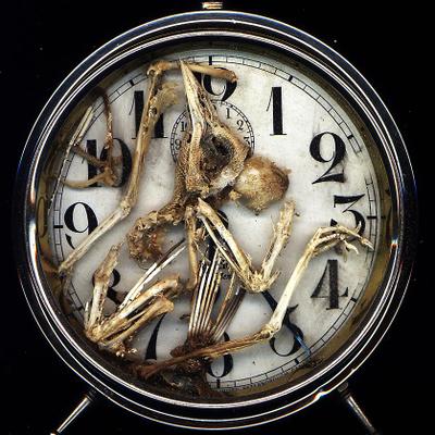 Profile Picture of Michael Poulton (@MuseumTempArt) on Twitter