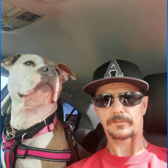 Profile Picture of Joseph Pierson (@joseph.pierson) on Tiktok