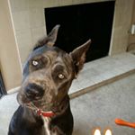 Profile Picture of Lynn Lambert (@lynn.lambert.1004) on Instagram