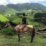 Profile Picture of Nelson Jerez (@nelsonjerez) on Instagram