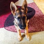 Profile Picture of Goretti Flores (@eldygusta04) on Instagram