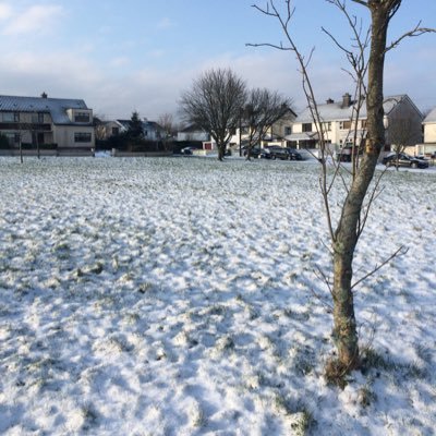 Profile Picture of Brian Lennon (@BrianLennon1) on Twitter