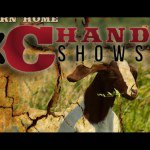 Profile Picture of Chandler Browning (@chandler_m_b_848) on Instagram