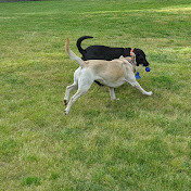 Profile Picture of Sean Gosnell (@seangosnell6965) on Youtube