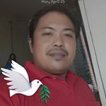 Robert Bais - Instagram Profile Picture of Robert Bais (@baisrobert3) on Instagram