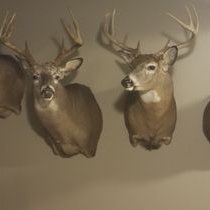 Profile Picture of Joe DiPaola (@JoeDiPaola2) on Twitter