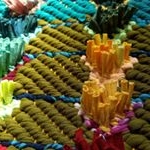 Profile Picture of jessica friday (@boo_hoo_town) on Instagram