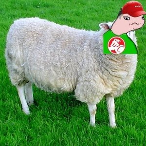 Profile Picture of Liam Gibson (@liemgebson) on Myspace