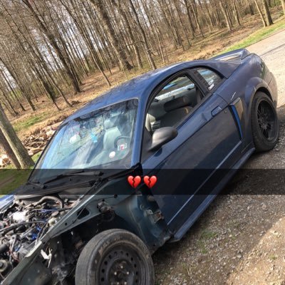 Profile Picture of Ray (@RaymondMoser6) on Twitter