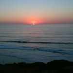 Profile Picture of Paulo Alexandre Lopes (@paulo_alexandre_lopes) on Instagram