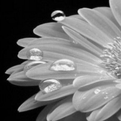 Profile Picture of Jo Warren (@_jowarren) on Twitter