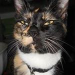 Profile Picture of Sherri Flournoy Brightwell (@allon_sy8269) on Instagram