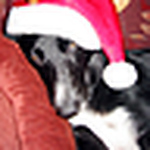 Profile Picture of Susan_addison (@susan_addison) on Flickr