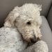 Profile Picture of Jackson Fine (@jacksonfine08) on Pinterest
