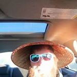 Profile Picture of Nicholas Ferring (@nicholasferring) on Instagram