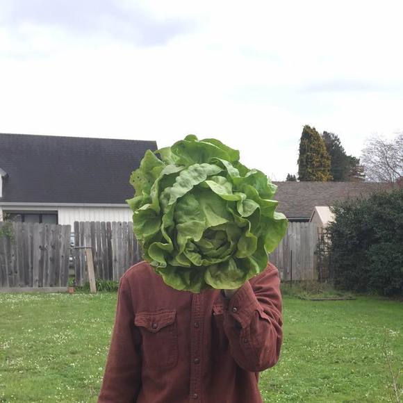 Profile Picture of Chris Curran (@tophercurran4) on Poshmark