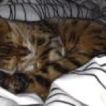 Profile Picture of Tracy Eppler Strader (@tracystrader) on Instagram