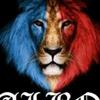 Profile Picture of Armando Velasquez (@@cerrotopados) on Tiktok