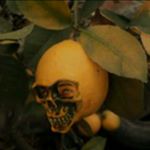 Profile Picture of David Loyola (@dalo.loy) on Instagram