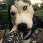 Profile Picture of Chema Gonzalez Rutilio (@chemagonzalezrutilio) on Instagram